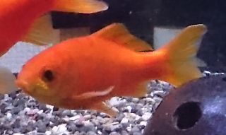 2017-0328s.jpg
